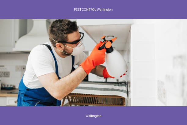 PEST CONTROL Wallington